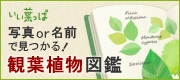 写真 or 名前で見つかる! 観葉植物図鑑