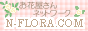 N-FLORA