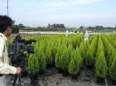 NHKBe 2